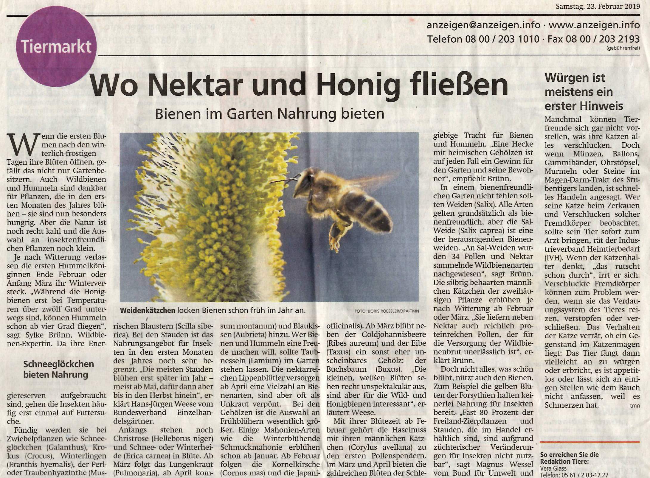 HNA_Artikel_Bienen_23.02.19