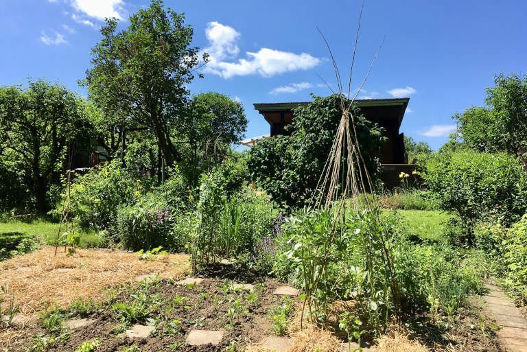 Permakultur-Garten Sandershaus Kassel